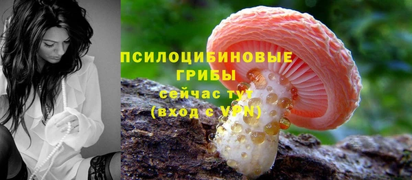 твердый Кинешма