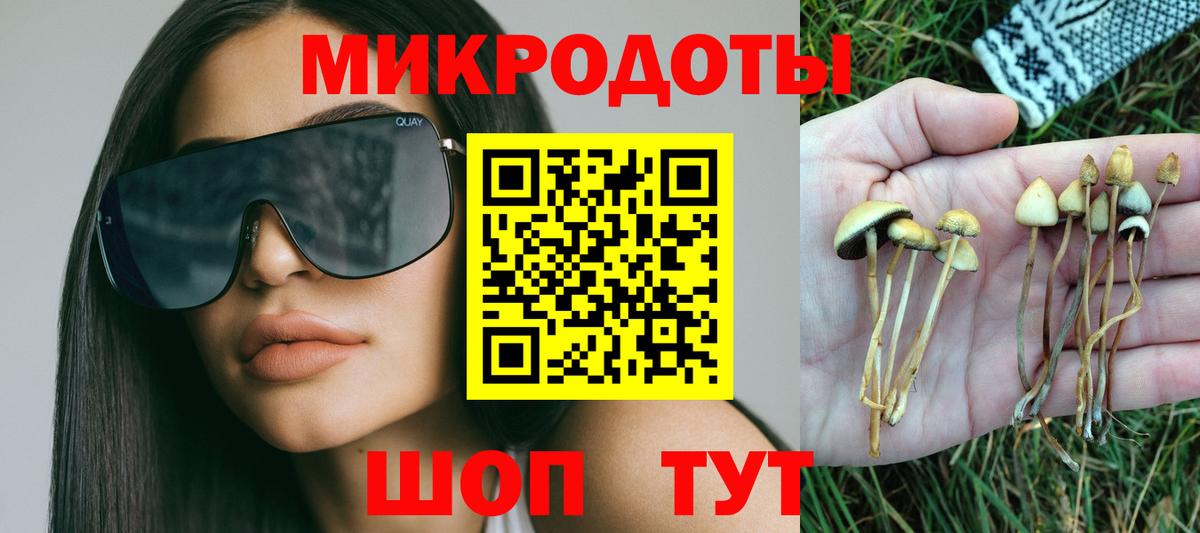Галлюциногенные грибы мухоморы Нововоронеж
