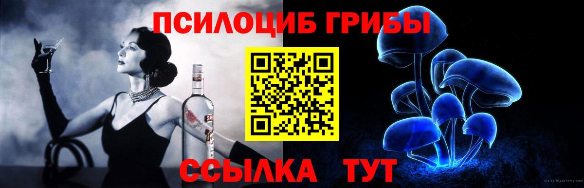 Галлюциногенные грибы GOLDEN TEACHER  Галлюциногенные грибы Psilocybine cubensis  Нововоронеж  закладка  Вход с VPN 