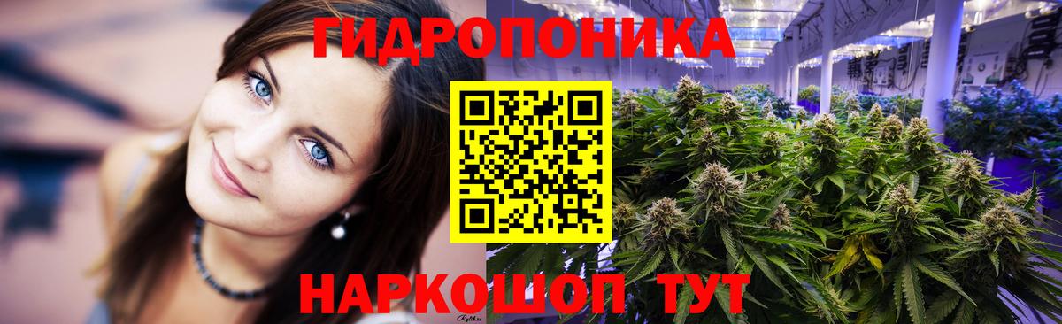 Каннабис MAZAR  Бошки Шишки LSD WEED  Нововоронеж  Вход с VPN 